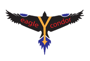 eagleYcondor